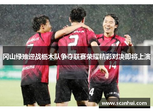 冈山绿雉迎战枥木队争夺联赛荣耀精彩对决即将上演
